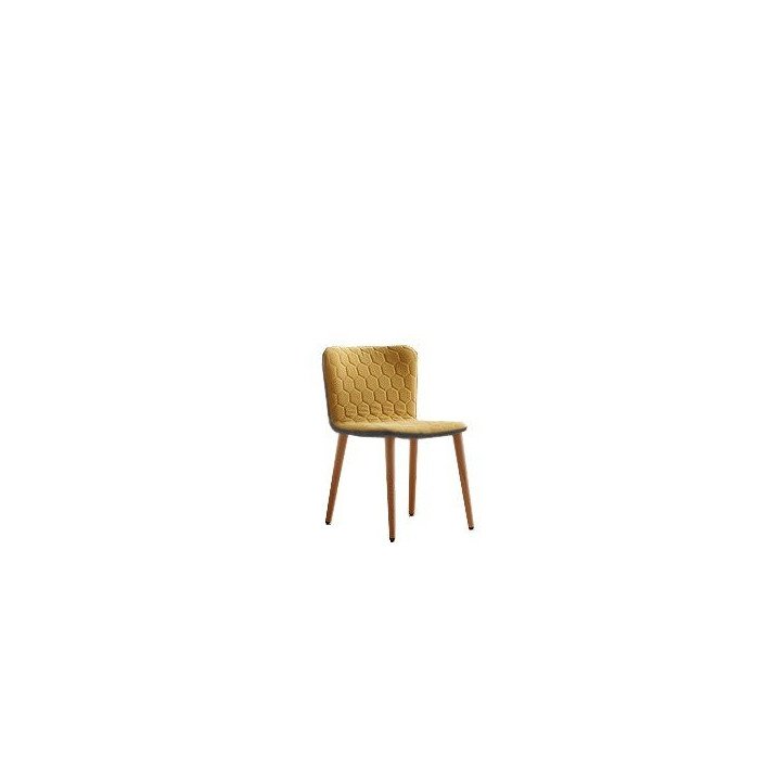 Silla TEA bicolor