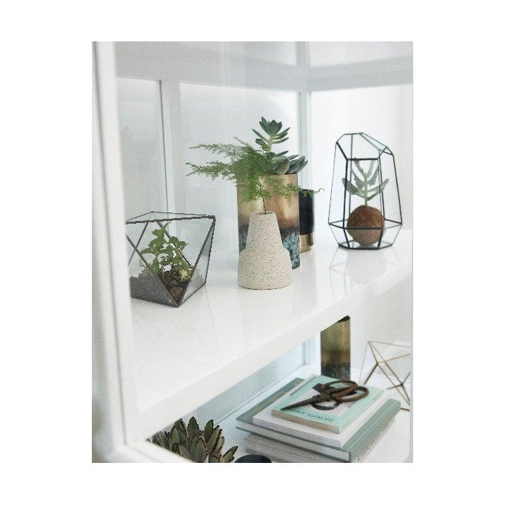 Terrario de cristal y latón pequeño
