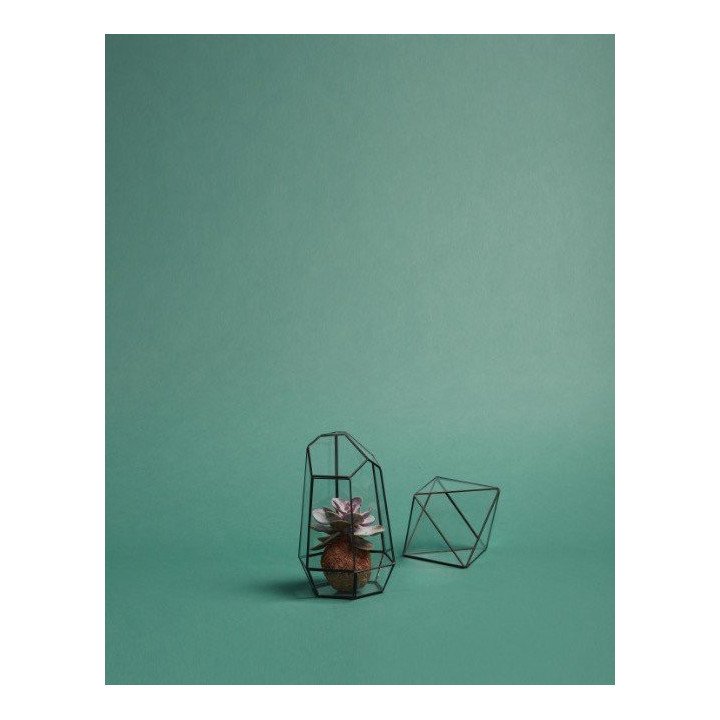 Terrario de cristal y latón pequeño