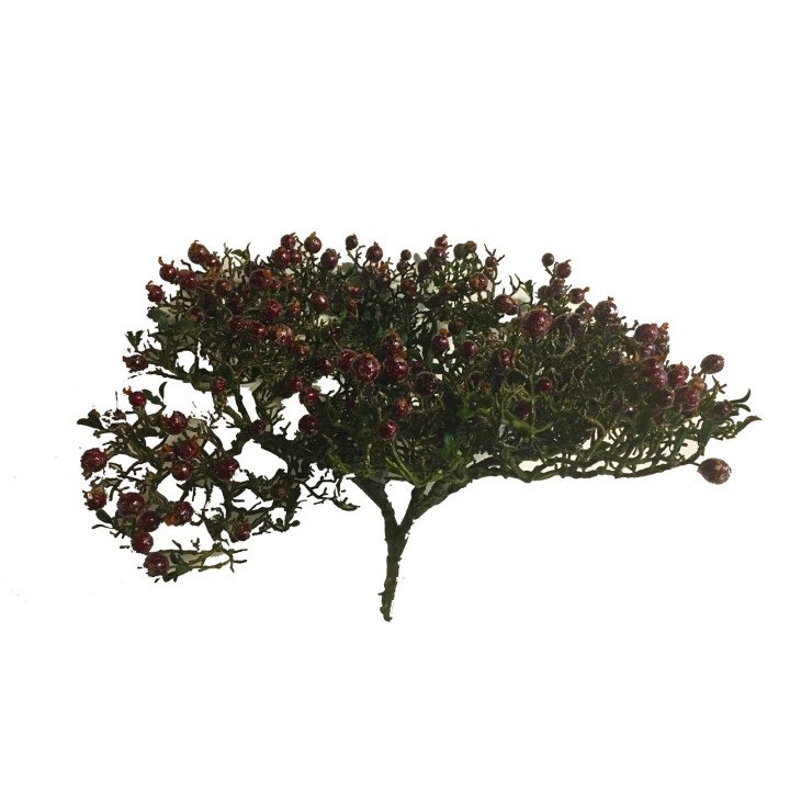 Rama de bayas rojas Navidad