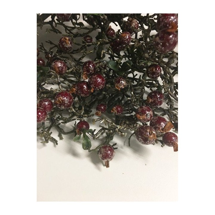 Rama de bayas rojas Navidad